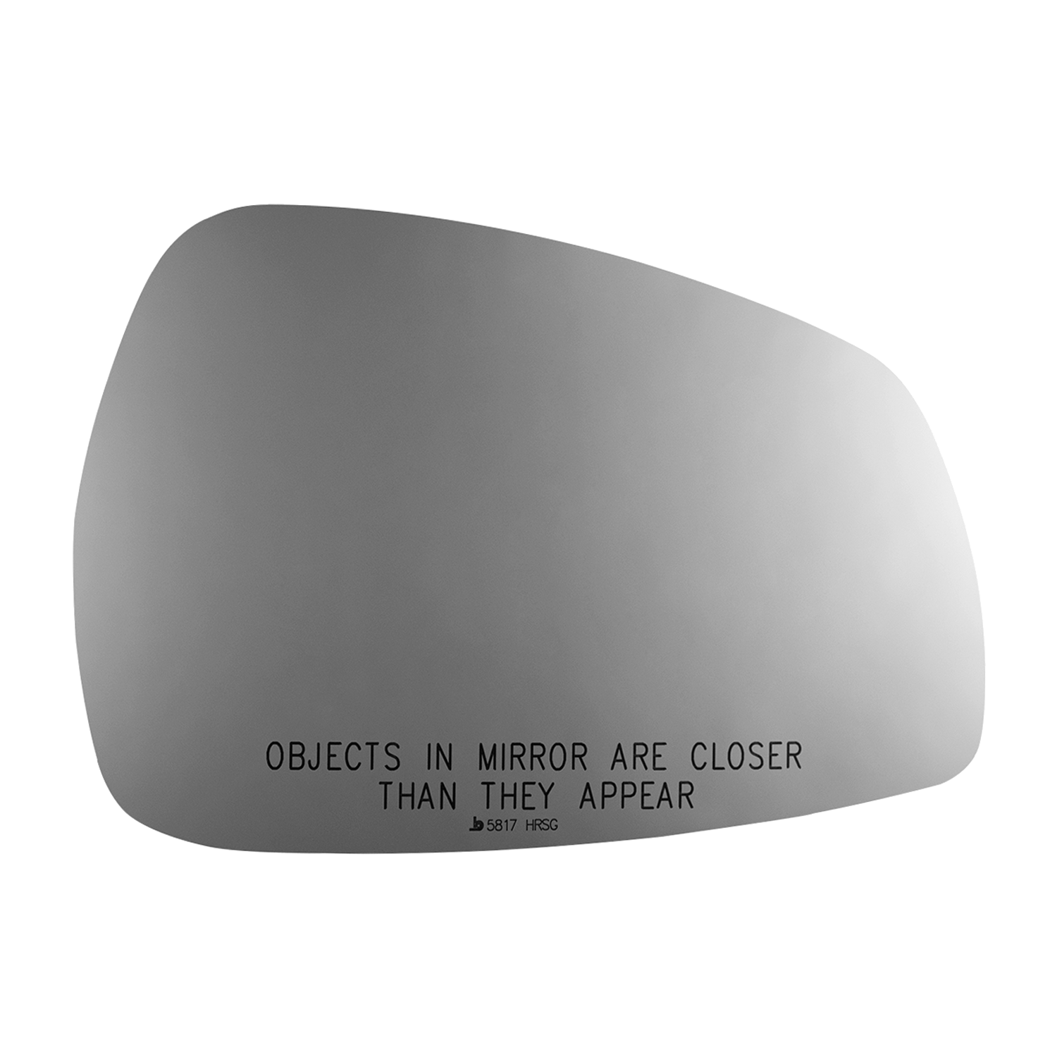 SIDE VIEW MIRROR HEATED W MOUNT